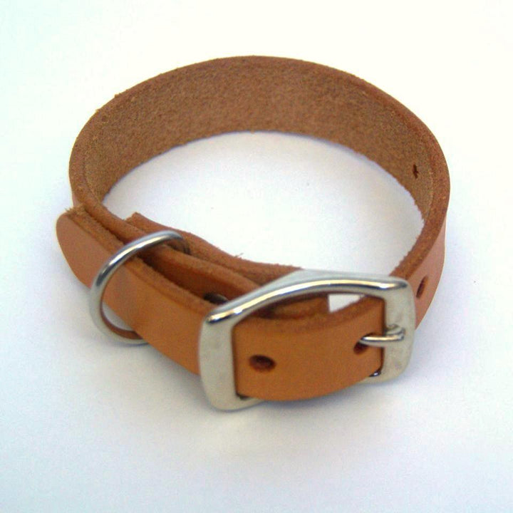 Dog Collar Light Brown Sample