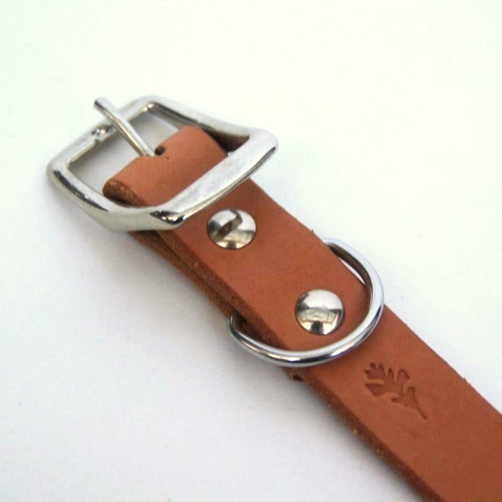 Dog Collar Light Brown Sample