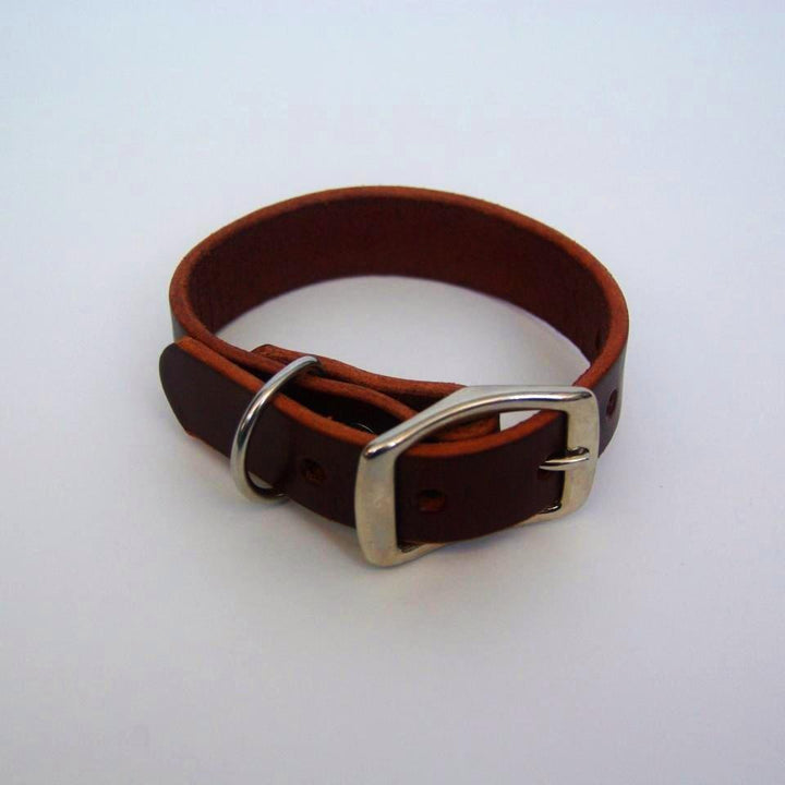 Dog Collar Dark Brown Sample