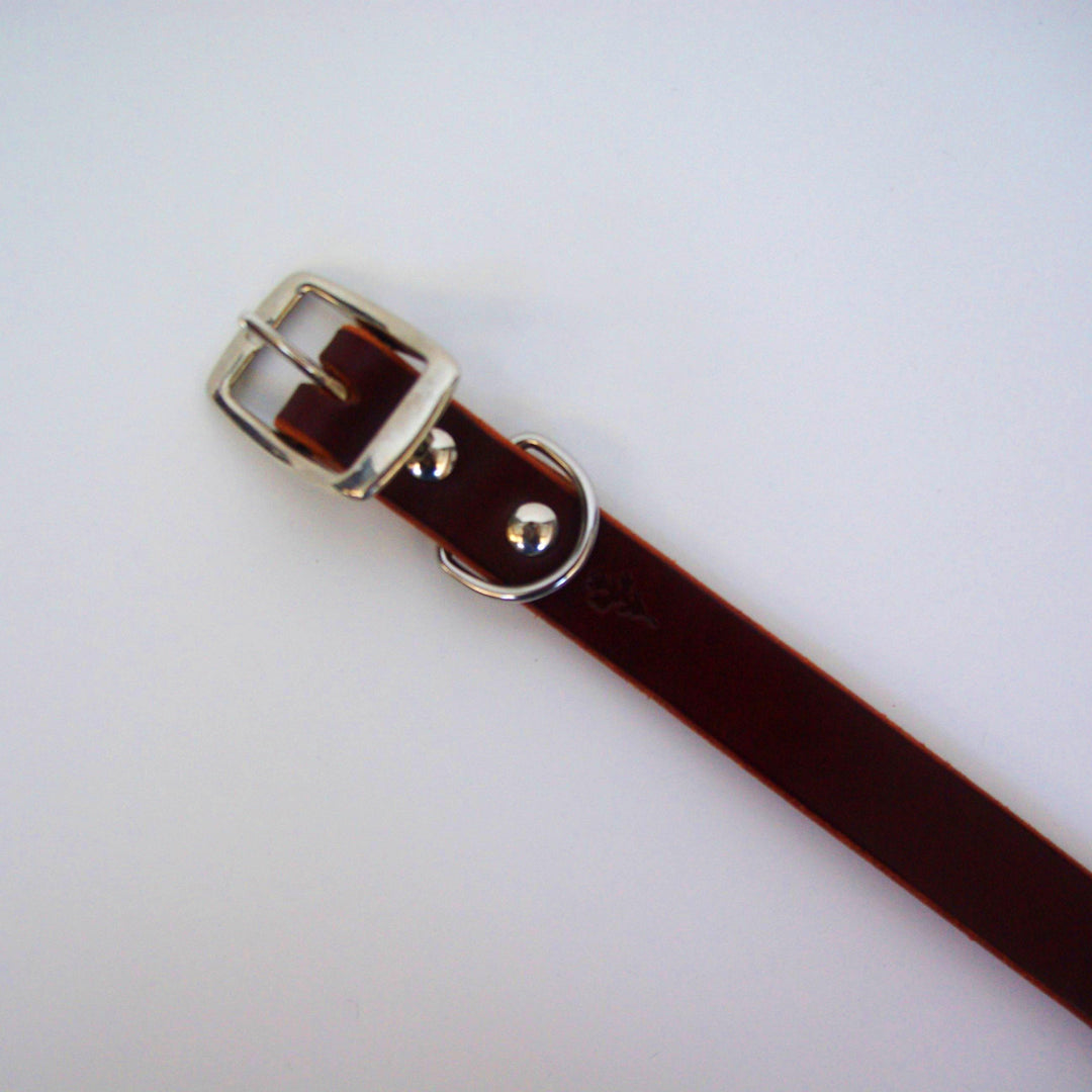 Dog Collar Dark Brown Sample