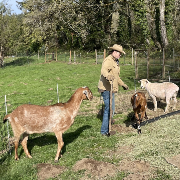 Side of Native American Erik Brodt wearing tan saddle herringbone chore barn jacket surrounded by sheep and goat 
