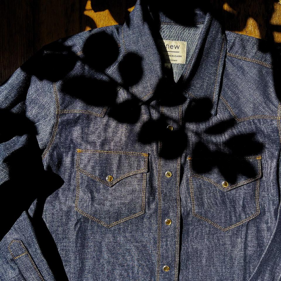 Close up of Chambray Western Snap in shadow of plant