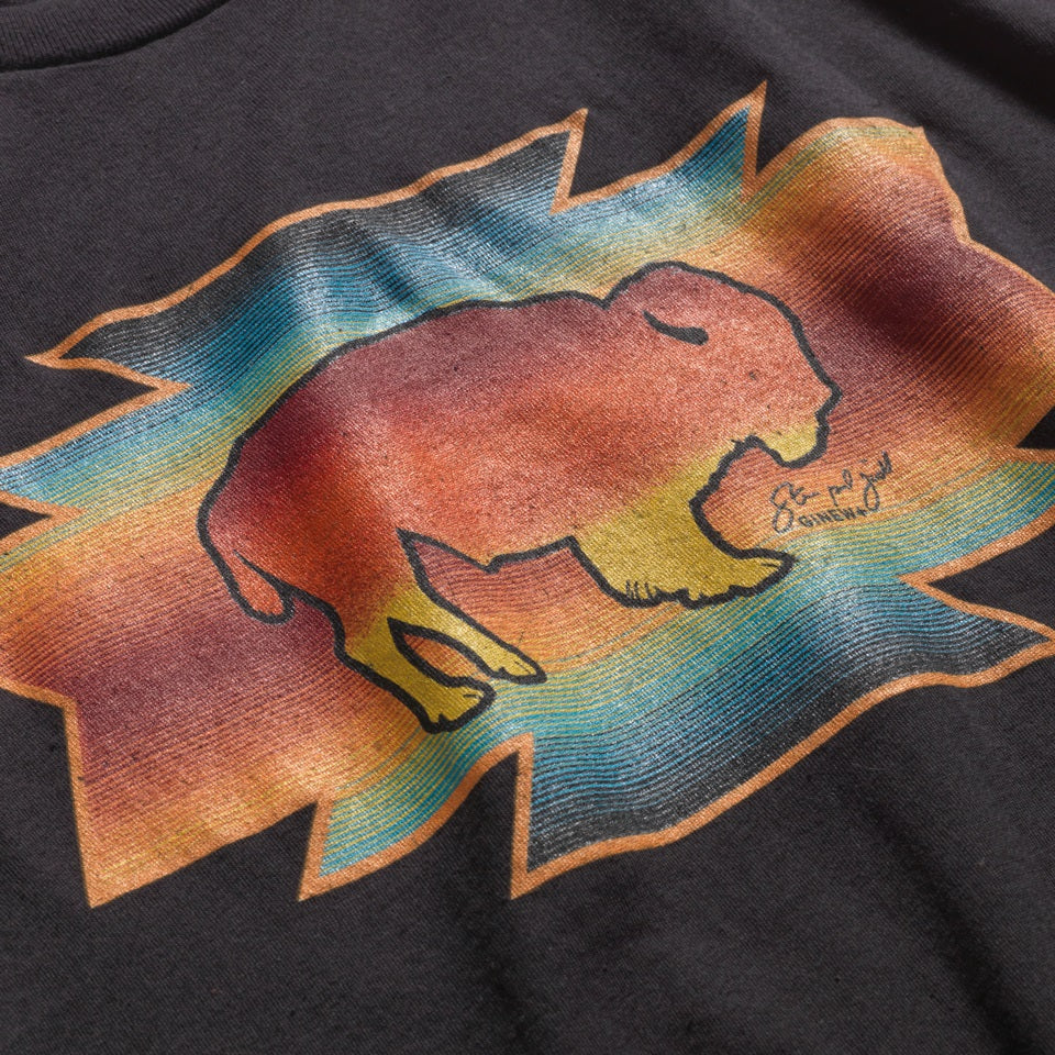 Close up of Steven Paul Judd designed buffalo t-shirt in a rainbow background