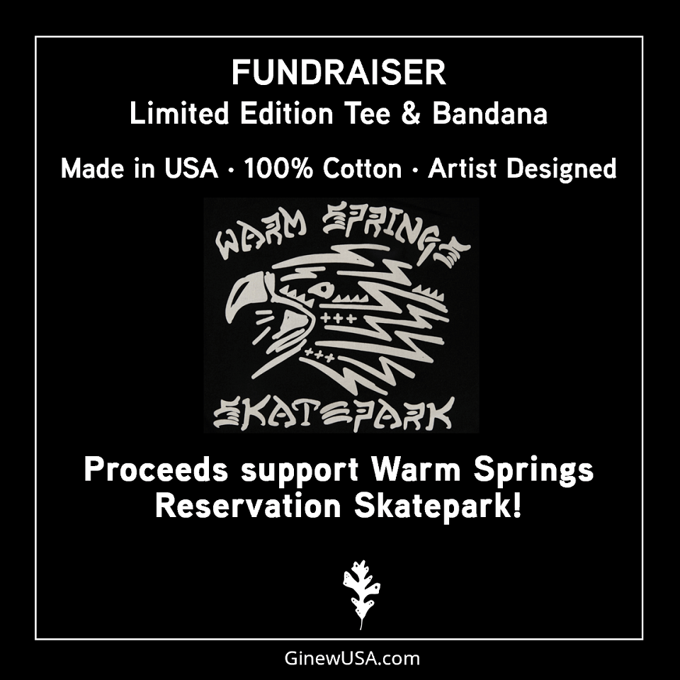 Fundraiser info for Warm Springs Skate park